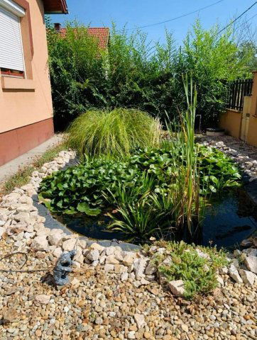 Eladó családi ház, Csemőn 55 M Ft, 3 szobás