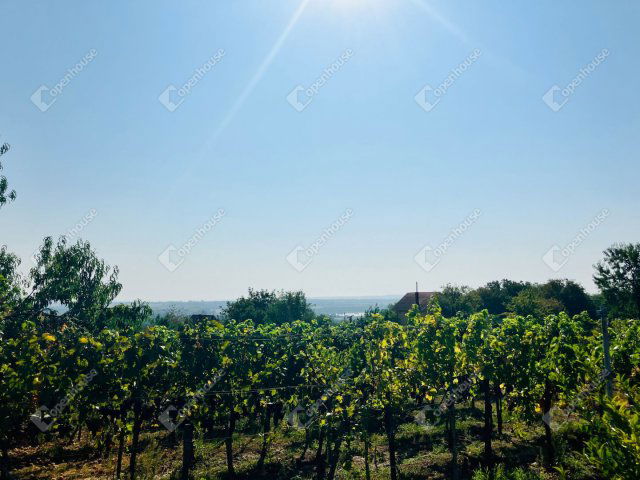 Eladó telek, Alsópáhokon 10.5 M Ft / költözzbe.hu