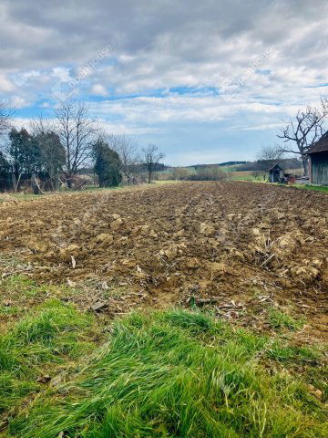 Eladó telek, Zalaháshágyon 4.5 M Ft / költözzbe.hu