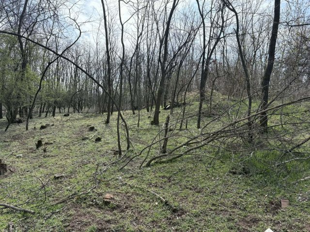 Eladó mezogazdasagi ingatlan, Lajosmizsén 5.2 M Ft