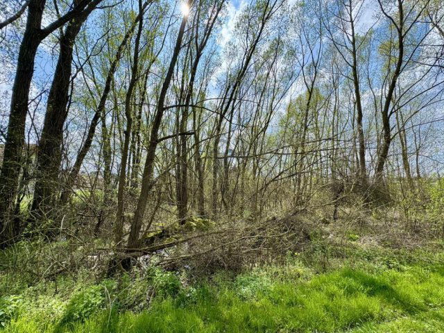 Eladó telek, Nagykanizsán 6.99 M Ft / költözzbe.hu