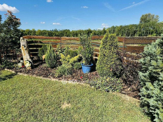 Eladó mezogazdasagi ingatlan, Debrecenben 105 M Ft, 4 szobás