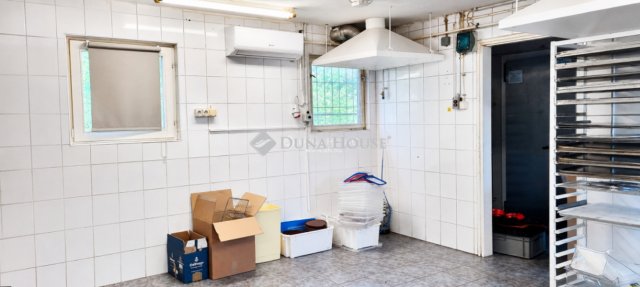 Kiadó ipari ingatlan, Debrecenben 250 E Ft / hó