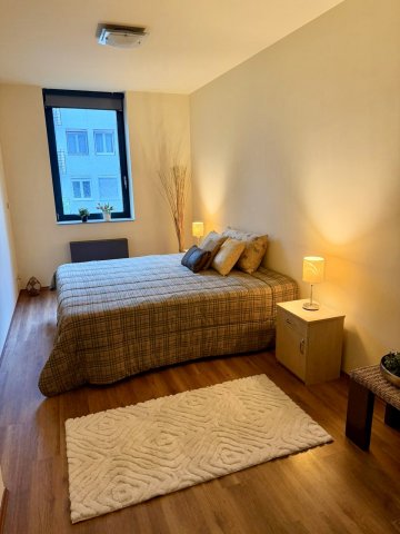 Kiadó téglalakás, albérlet, Budapesten, XI. kerületben