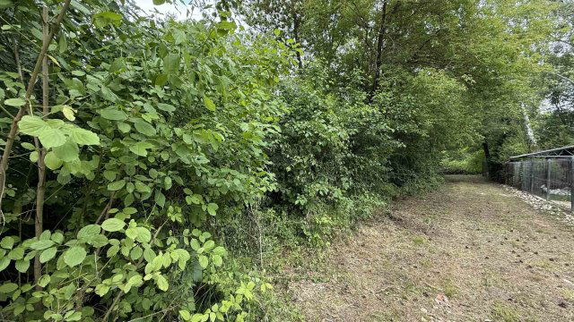 Eladó mezogazdasagi ingatlan, Balatongyörökön 20 M Ft