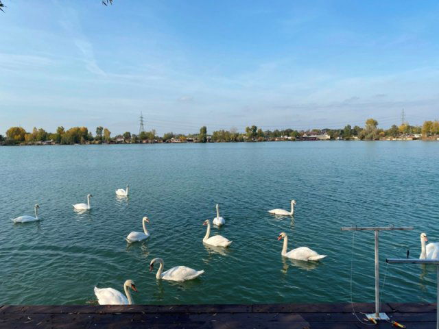 Eladó telek, Dunavarsányban 9.5 M Ft / költözzbe.hu