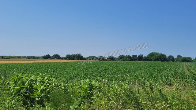 Eladó mezogazdasagi ingatlan, Albertirsán 3.99 M Ft