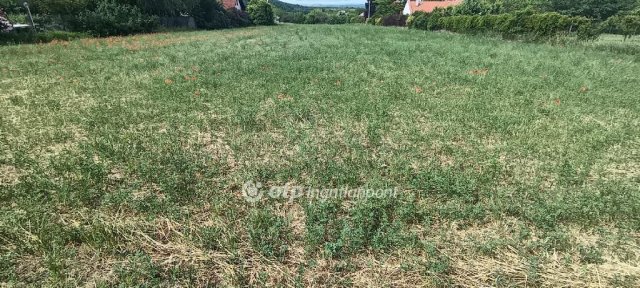 Eladó telek, Budajenőn 85 M Ft / költözzbe.hu
