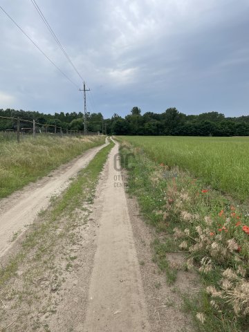 Eladó mezogazdasagi ingatlan, Monoron 34.9 M Ft