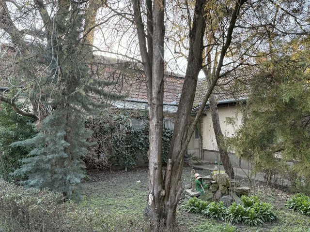 Eladó családi ház, Ceglédbercelen 64.99 M Ft, 5 szobás