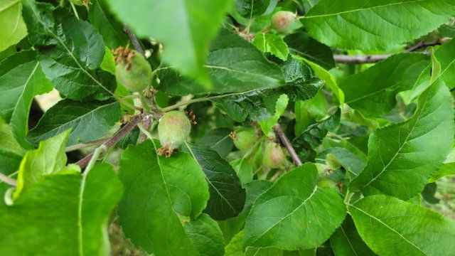 Eladó családi ház, Szentkatalinon 20.999 M Ft, 3 szobás
