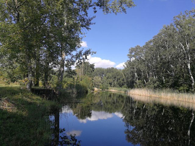 Eladó telek, Dunaszigeten 85 M Ft / költözzbe.hu