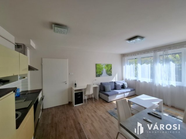 Kiadó téglalakás, albérlet, Szegeden 220 E Ft / hó, 2 szobás