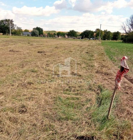 Eladó telek, Csajágon 6.99 M Ft / költözzbe.hu