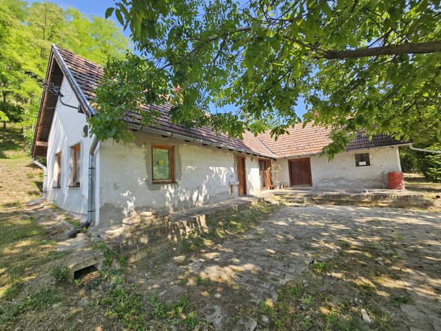 Eladó mezogazdasagi ingatlan, Szekszárdon 20.8 M Ft