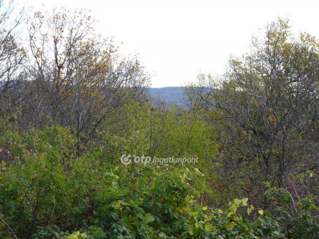 Eladó telek, Zalahalápon 9.9 M Ft / költözzbe.hu