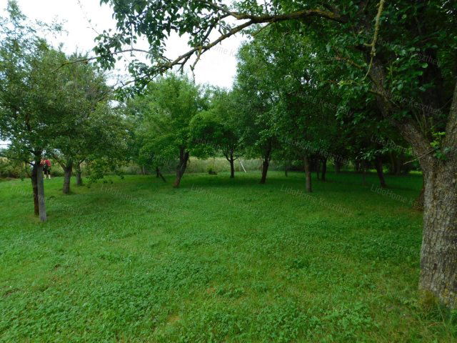 Eladó telek, Kehidakustányban 5 M Ft / költözzbe.hu