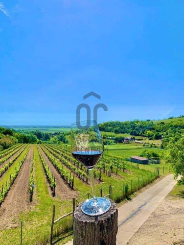 Eladó hotel, Szekszárdon 299 M Ft / költözzbe.hu