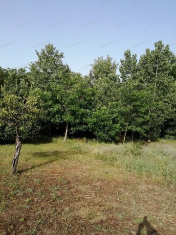 Eladó mezogazdasagi ingatlan, Kecskeméten 4.6 M Ft