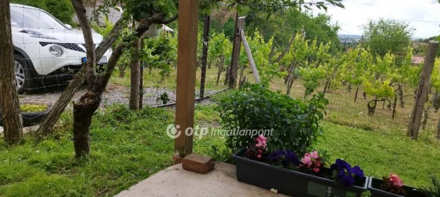 Eladó telek, Szekszárdon 12 M Ft / költözzbe.hu