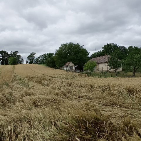 Eladó nyaraló, Tengődön 7.5 M Ft, 2 szobás