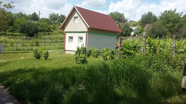 Eladó nyaraló, Vértesszőlősön 48 M Ft, 3 szobás