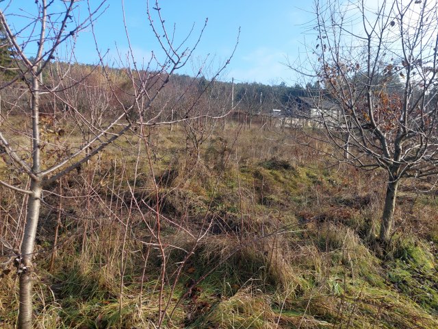 Eladó telek, Biatorbágyon 29.9 M Ft / költözzbe.hu