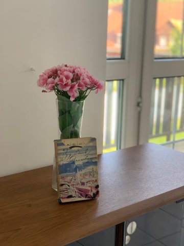 Kiadó ikerház, albérlet, Solymáron, Rózsika utcában, 5 szobás