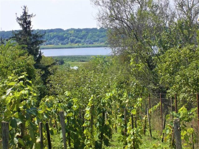 Eladó nyaraló, Kajászón 12 M Ft, 1 szobás