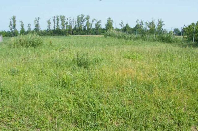 Eladó telek, Balatonszabadiban 25 M Ft / költözzbe.hu