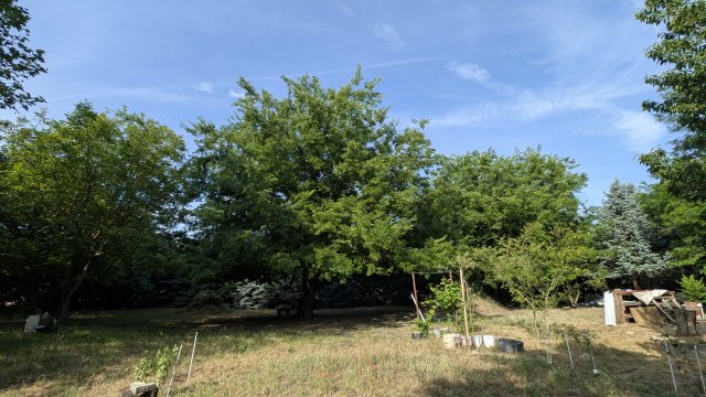 Eladó telek, Cegléden 19.1 M Ft / költözzbe.hu