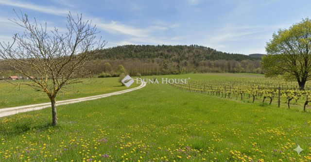 Eladó telek, Balatongyörökön 12 M Ft / költözzbe.hu