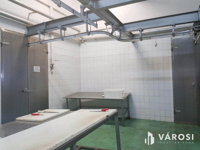 Eladó ipari ingatlan, Hódmezővásárhelyen 150 M Ft