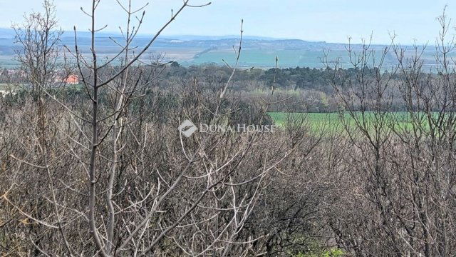 Eladó telek, Kincsesbányán 79 M Ft / költözzbe.hu