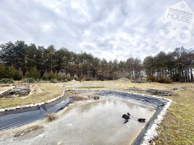 Eladó családi ház, Kecskeméten 68.52 M Ft, 5 szobás