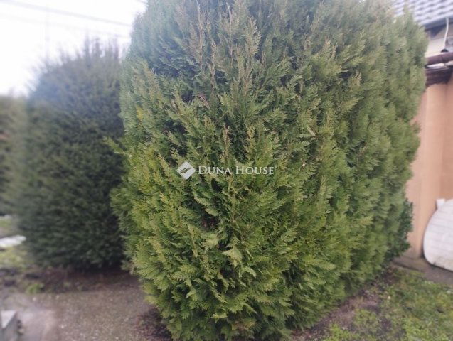 Eladó családi ház, Székesfehérvárott 78 M Ft, 3 szobás