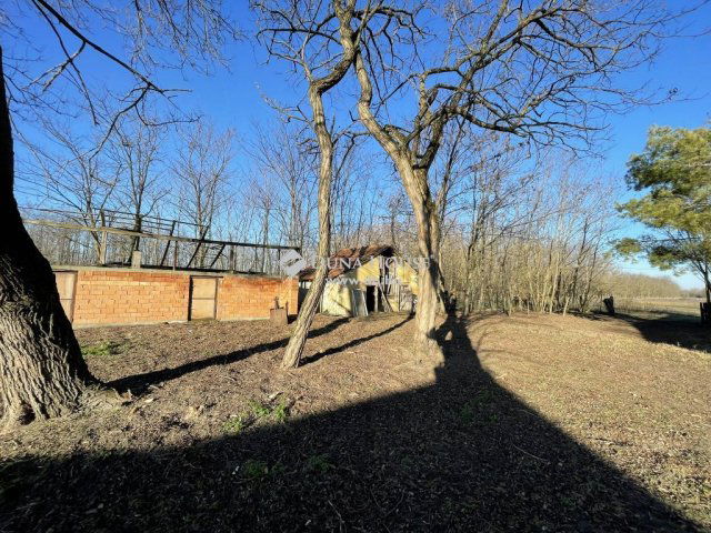 Eladó mezogazdasagi ingatlan, Kiskunmajsán 79 M Ft