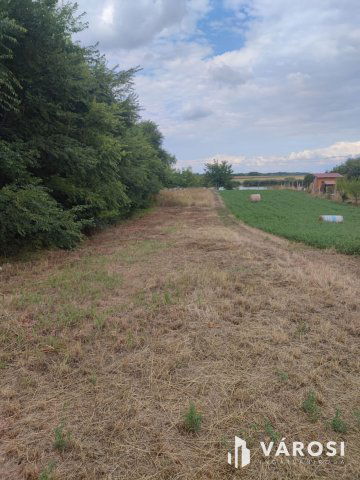 Eladó mezogazdasagi ingatlan, Röszkén 10 M Ft