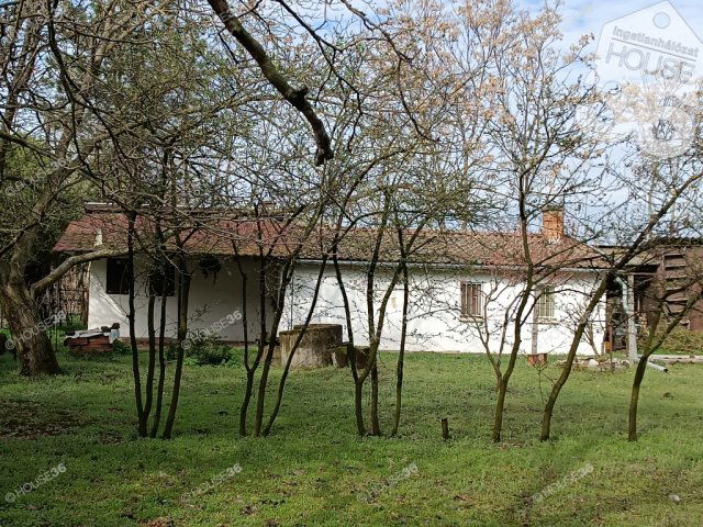 Eladó mezogazdasagi ingatlan, Kiskunfélegyházán 11.9 M Ft