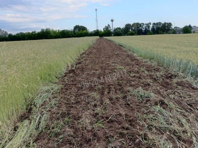 Eladó telek, Albertirsán, Dánosi utcában 2.5 M Ft
