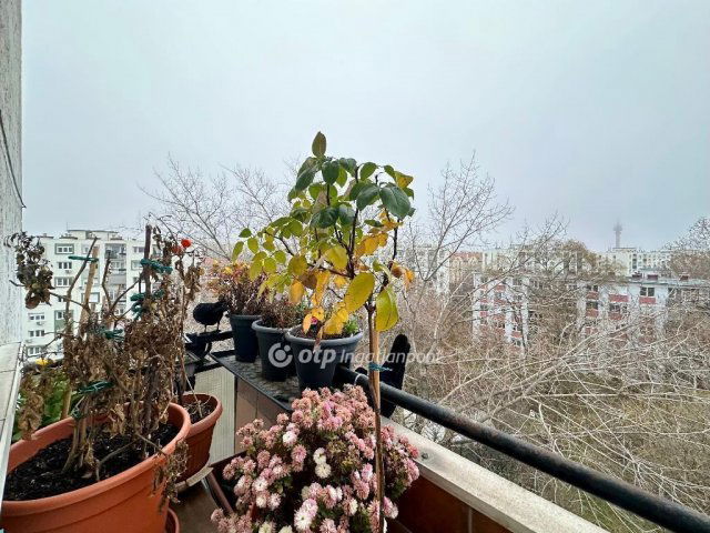 Eladó téglalakás, Budapesten, IX. kerületben 67.9 M Ft, 2 szobás