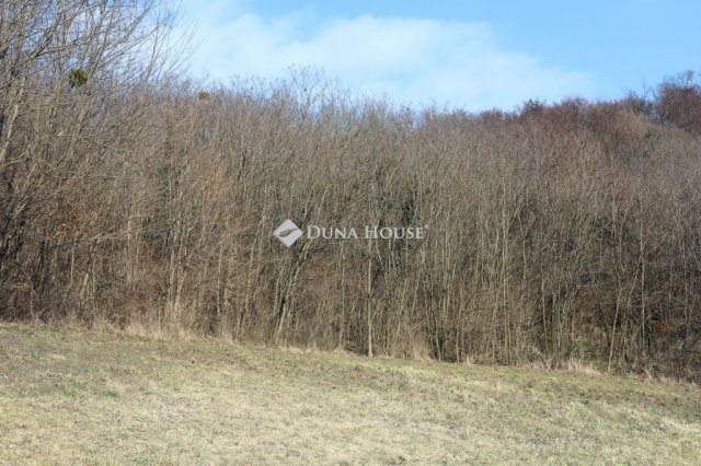 Eladó telek, Alsónemesapátiban 55 M Ft / költözzbe.hu
