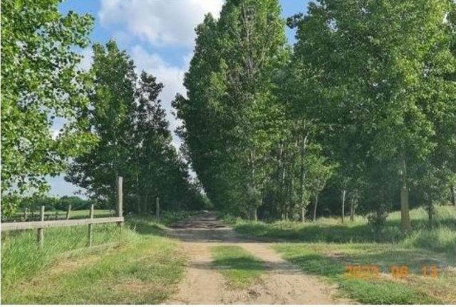 Eladó mezogazdasagi ingatlan, Mikepércsen 570 M Ft