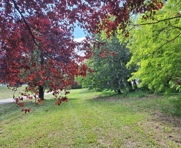 Eladó telek, Kéthelyen 69.9 M Ft / költözzbe.hu