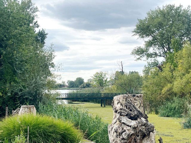 Eladó családi ház, Áporkán 124.9 M Ft, 4 szobás