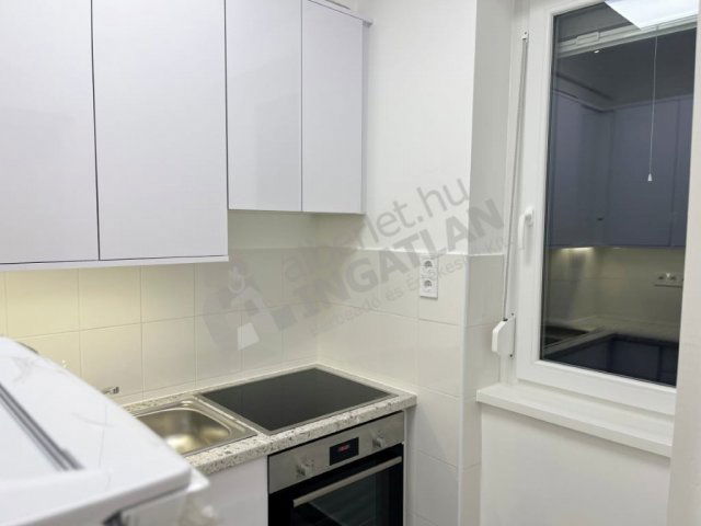 Kiadó téglalakás, albérlet, IX. kerületben, Pöttyös utcában