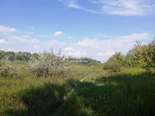 Eladó ipari ingatlan, Dunaalmáson 50.673 M Ft