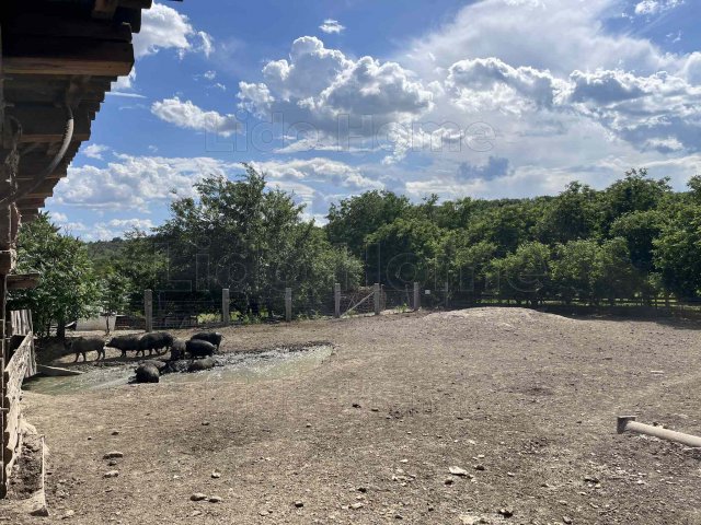 Eladó mezogazdasagi ingatlan, Ságváron 17.9 M Ft, 2 szobás