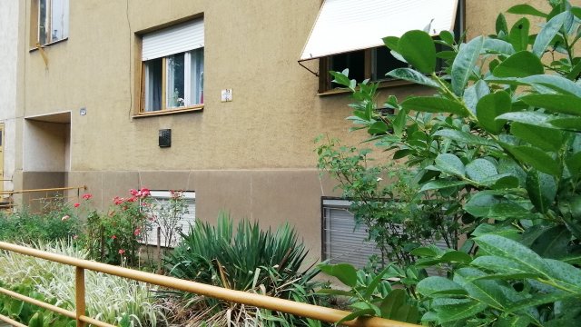 Kiadó téglalakás, albérlet, Pécsett 120 E Ft / hó, 1 szobás