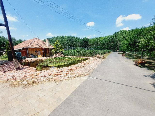 Eladó mezogazdasagi ingatlan, Albertirsán 180 M Ft